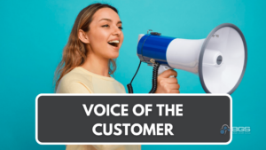 voice of the customer techniques to gather customer feedback.