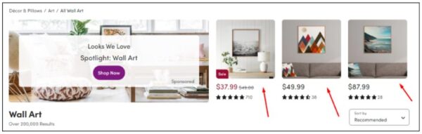 Wayfair products on the collection page